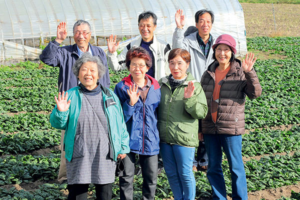 冬限定の旨みと甘さ「めぐみ野」ちぢみほうれん草