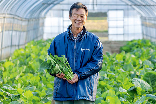 一足早く、春を味わう 「めぐみ野」春立ち菜