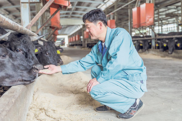 宮城県登米（とめ）市の豊かな環境が育む「めぐみ野」日高見牛（ひだかみぎゅう）