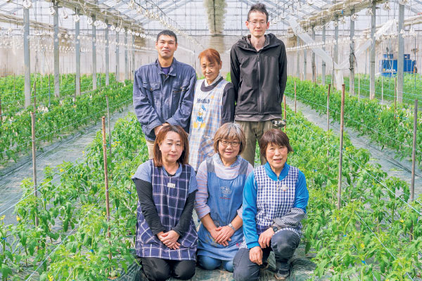 濃い味わいぎゅ〜っと凝縮「めぐみ野」桃太郎トマト