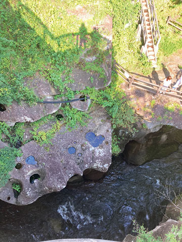 福島県郡山市 いかぴーさん