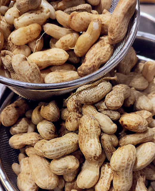 宮城県石巻市 ぎんさん