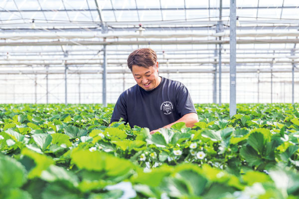 手塩にかけて育てた甘い宝石「めぐみ野」いちご