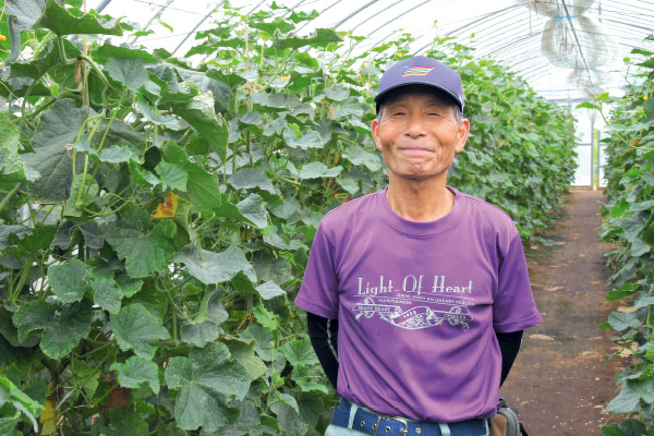 みずみずしくシャキッと薄皮「めぐみ野」きゅうり